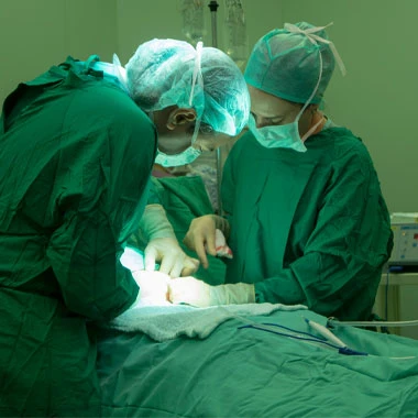 Analisi delle tendenze future nel settore delle attrezzature mediche per anim...